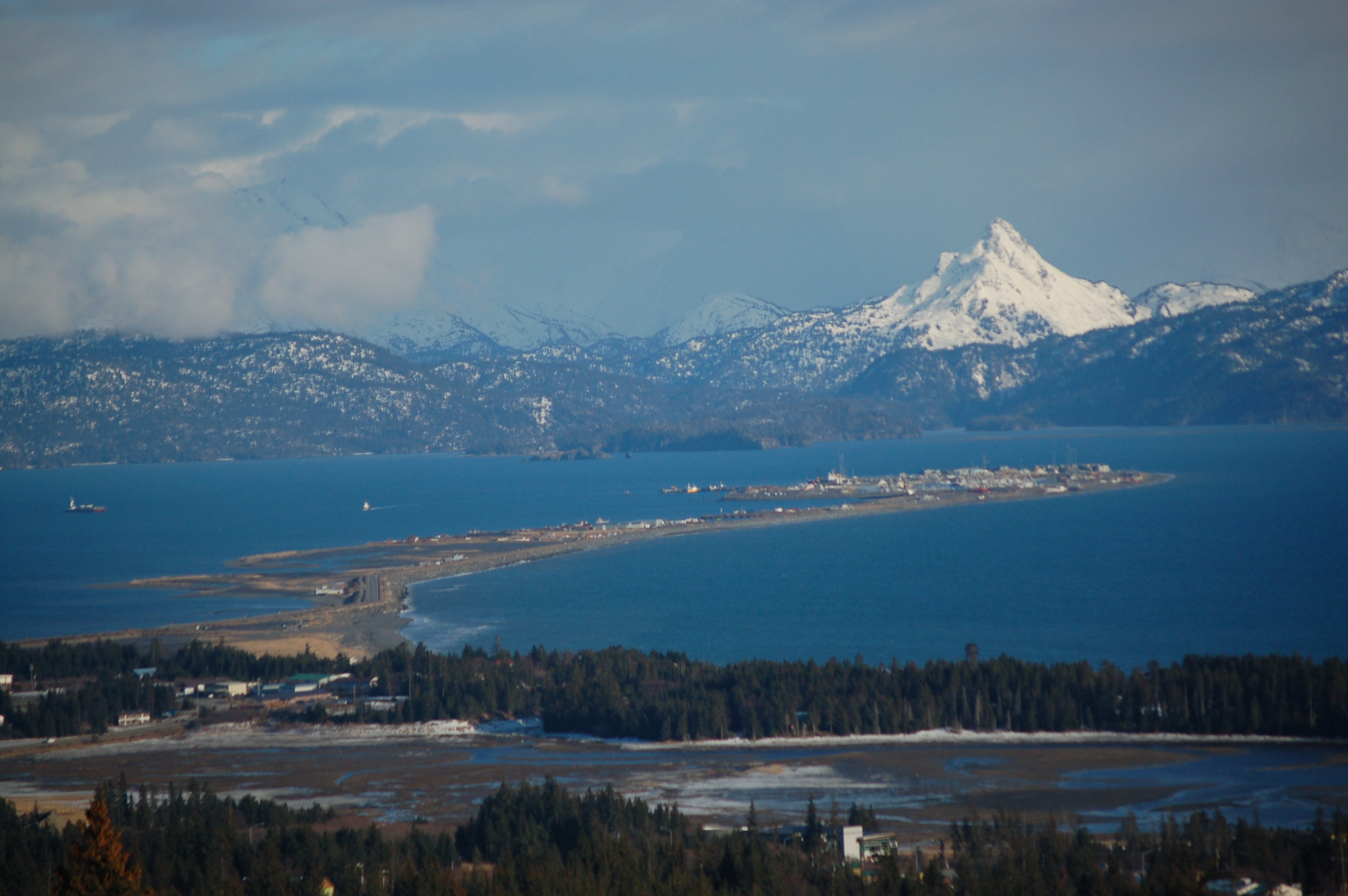 LOCAL NEWS — By Homer, For Homer