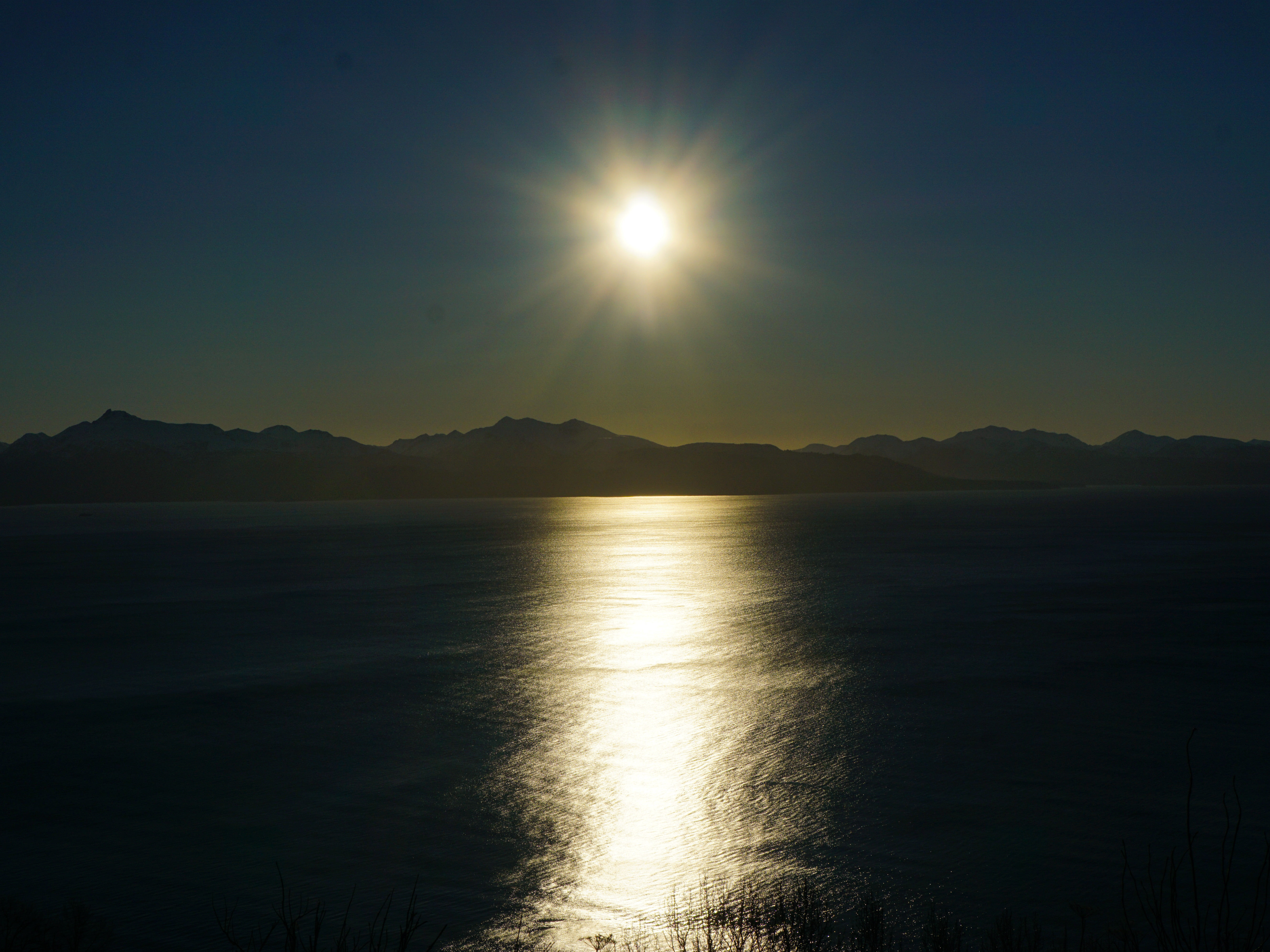 Homer Independent Press Launches Today