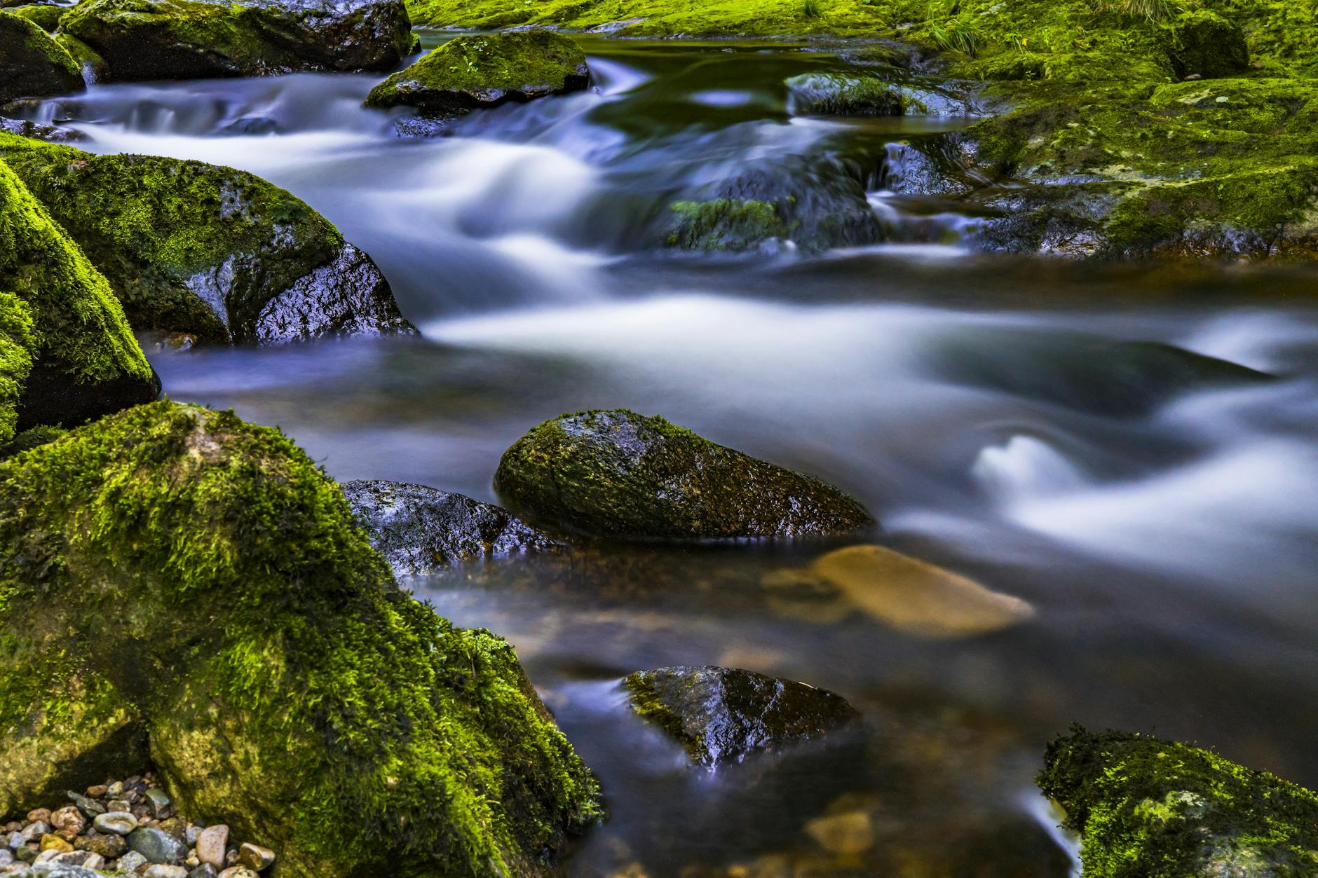 Wellness: The art of flow