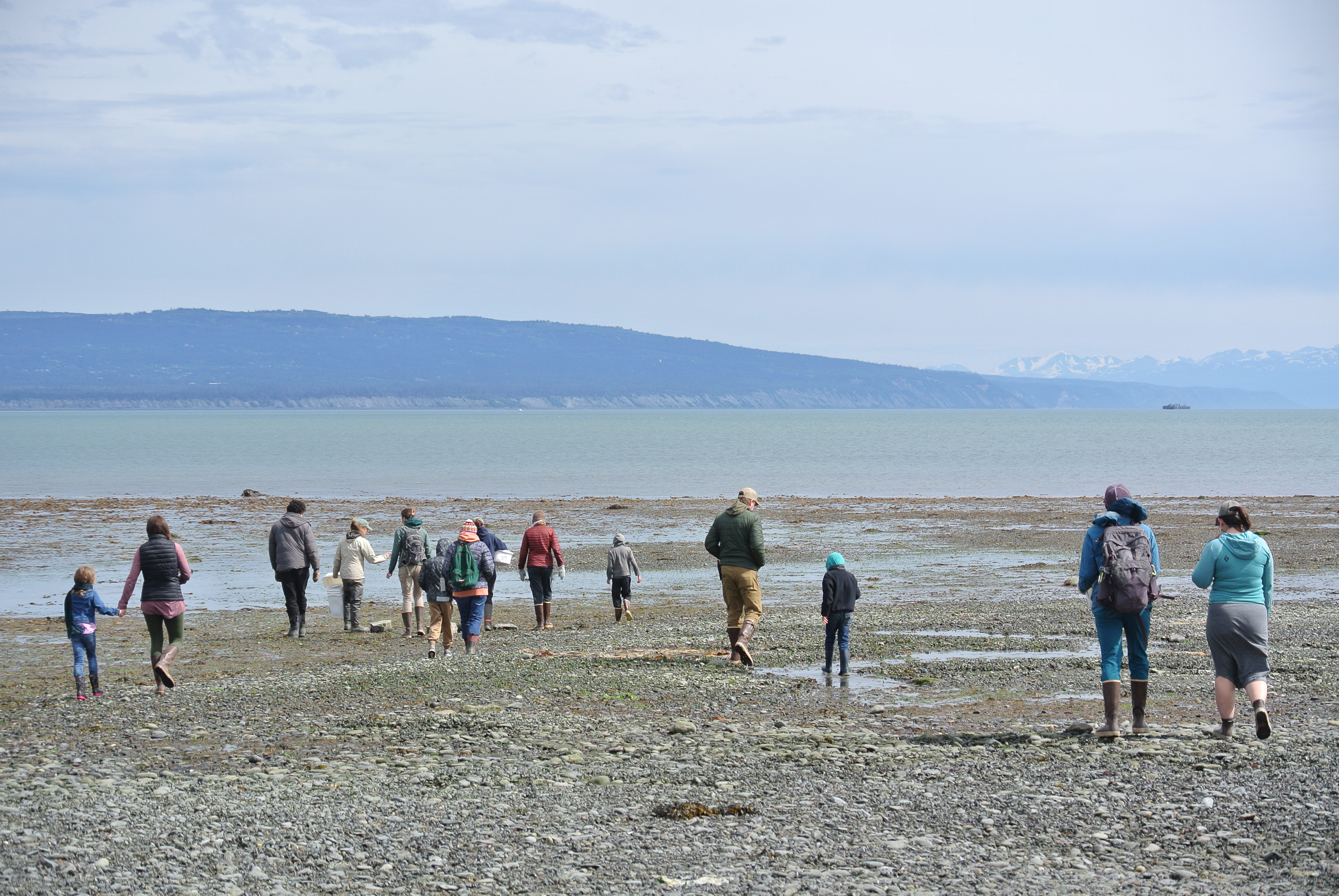 Community helps research reserve monitor for invasive green crabs