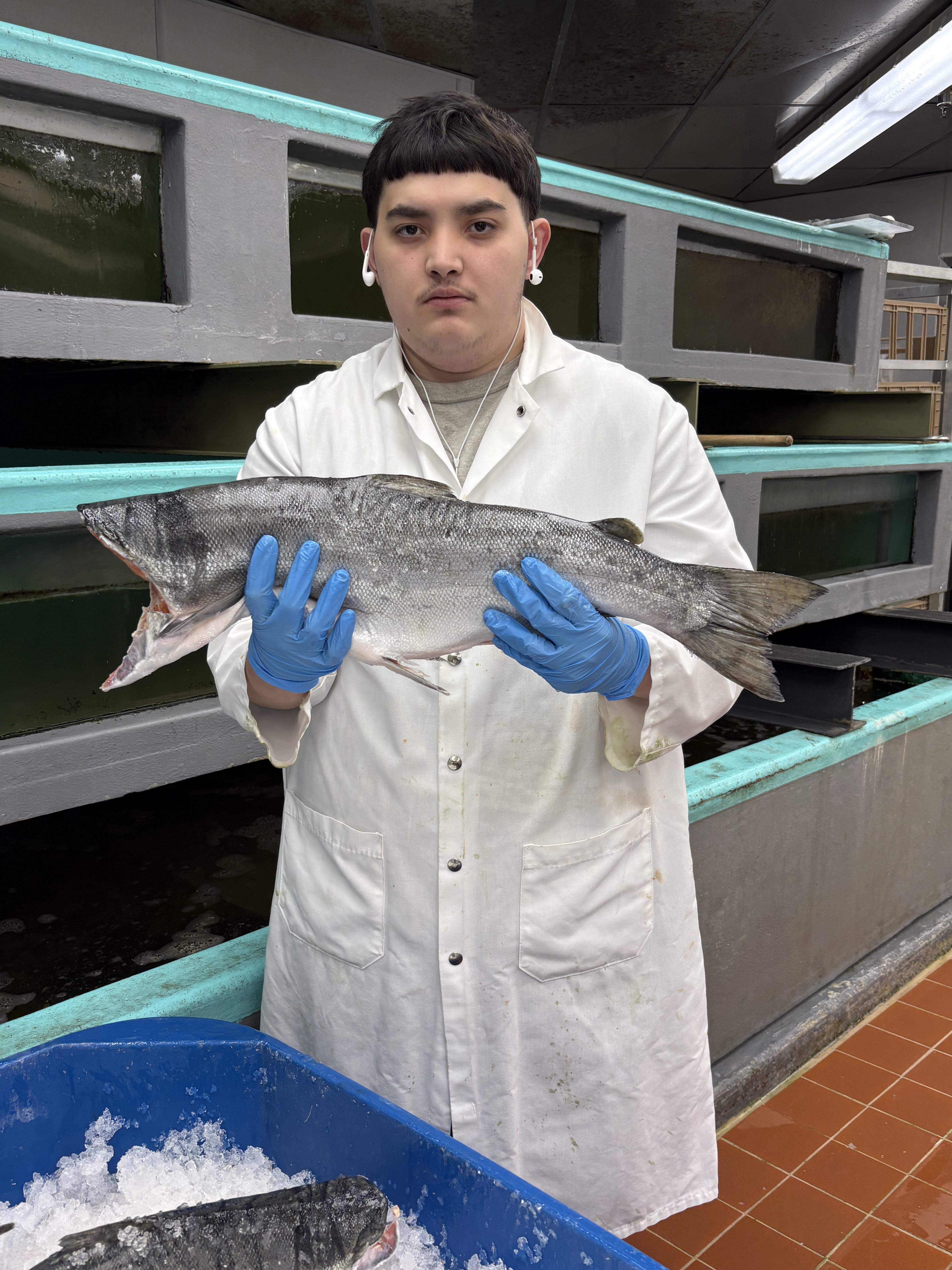Fresh coho salmon sells fast as season nears close